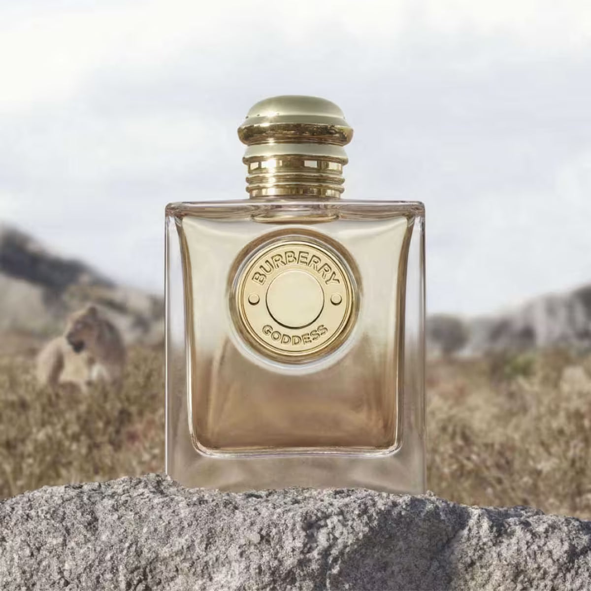 Burberry Goddess Eau De Parfum (100ml)