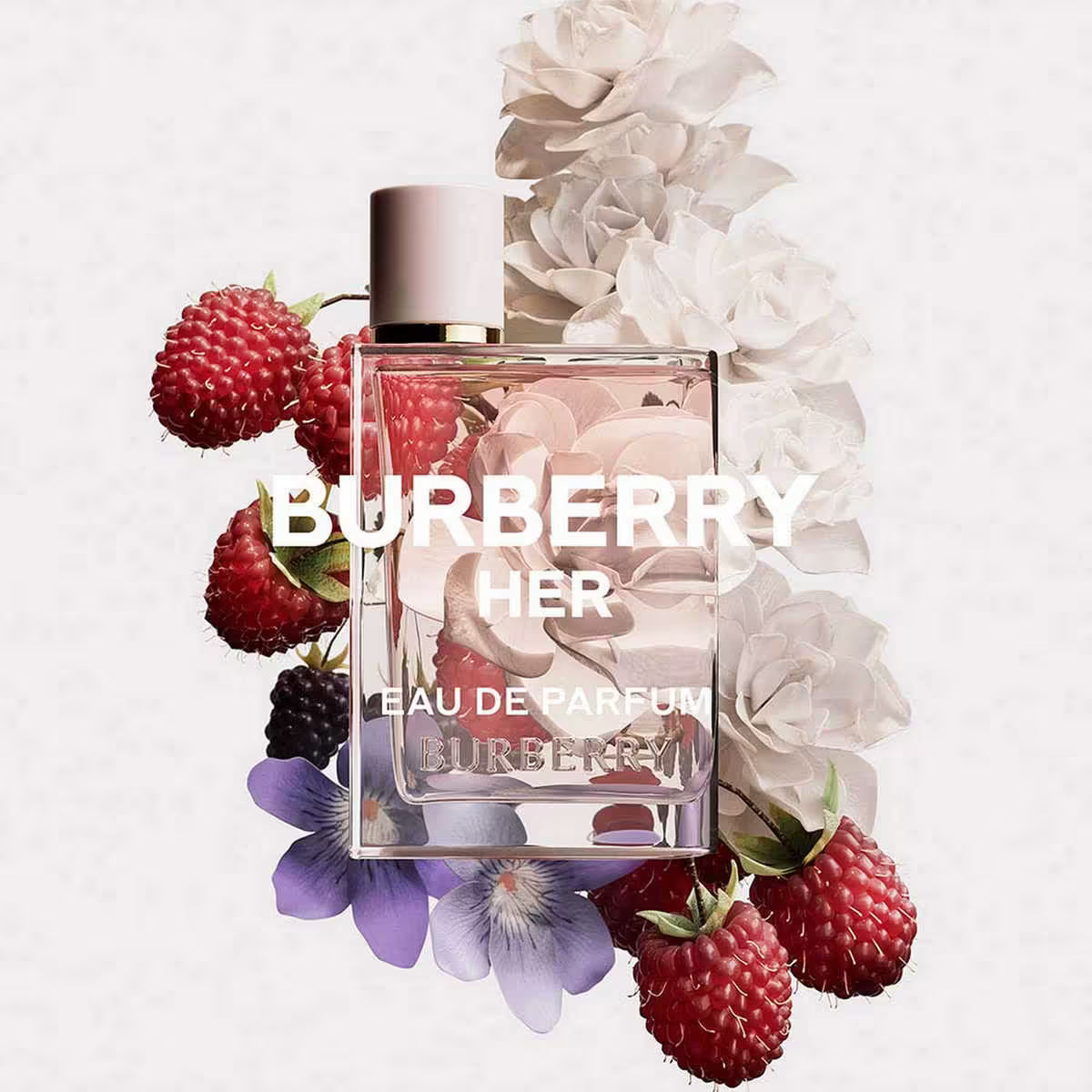 Burberry Her Eau De Parfum (100ml)