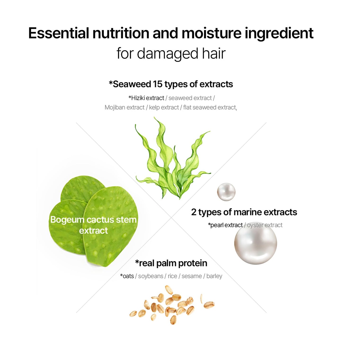 CURLYSHYLL After Salon Care Repair Hair Ampoule 100mL