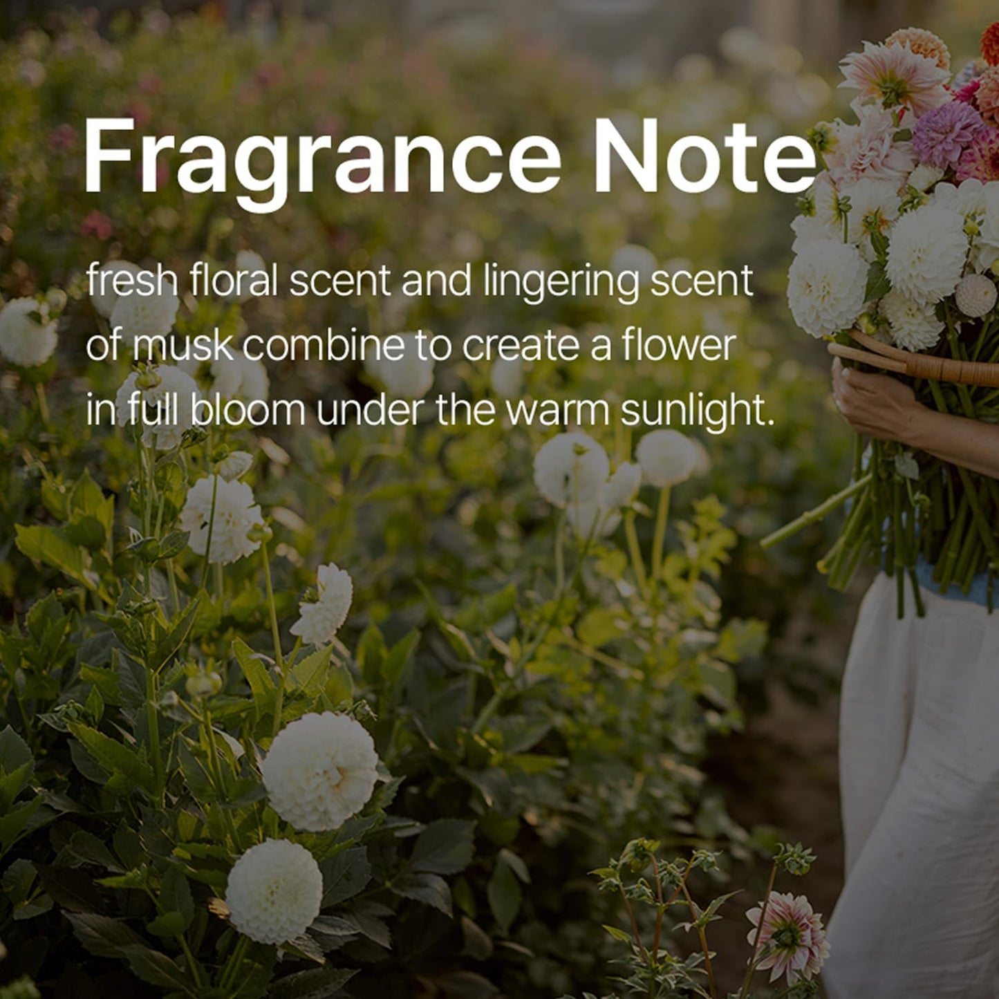 CURLYSHYLL After Salon Care Repair Hair Ampoule 100mL