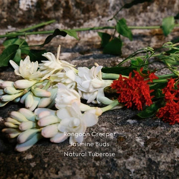 GUCCI Bloom Eau De Parfum • 50ml